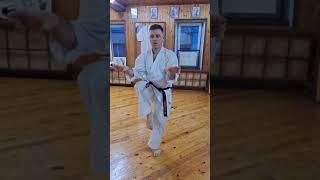 Seisan kata Roman Semenov my student (St. Petersburg) 3rd dan Uechi ryu karate do Hozonkai Russia