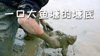 【戶外捕魚vlog】花1500包下村裏一口大魚塘的塘底，沒想到裏面這麼多..#三農