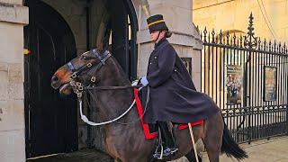 THEY'RE BACK! NERVOUS NEW HORSE JOINS THE KING'S TROOP ROYAL HORSE ARTILLERY at Horse Guards!