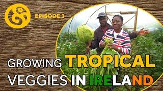 A Visit to Croker's Farm | Bosco's Garden Tour | Ep3