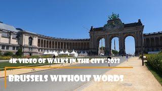 Brussels walking tour - Immerse yourself into authentic views of Brussels while walking around!