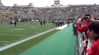 Ralphie V, the Colorado Buffaloes mascot