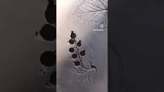 Making botanical casts  #shorts #botanicalcast #artwork #art