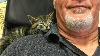 Saved Stray Kitten Cuddled Up To a Man And Won't Let Go Until It's Adopted