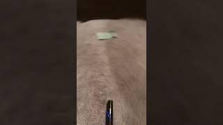 Loop#perfectloop