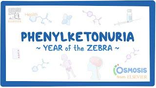 Phenylketonuria - NORD (Year of the Zebra)