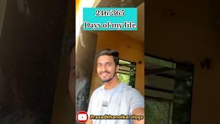 246/365 days of my life