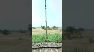 Chand Se Parada Kijiye | Sarthak Films |