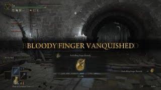 ELDEN RING™ PvP Double