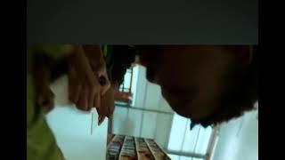 PunchMade Dev- wire fraud tutorial (official music video) educational purposes only
