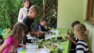 Forsche mit uns! Ferienprojekt "Sonnenblumen"