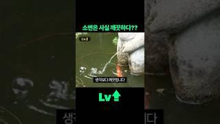 소변은 생각보다 깨끗하다? #상식 #소변 #위생 #멸균 #신장