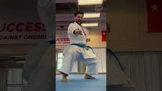 NAME THE KATA !! WRONG ANSWERS ONLY. (If it makes me laugh, you get a pin )