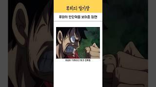 루피의 지리는 판단력을 보여준 장면