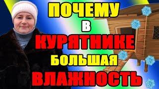 Почему в КУРЯТНИКЕ большая ВЛАЖНОСТЬ. Можно ли курам ГУЛЯТЬ ЗИМОЙ.