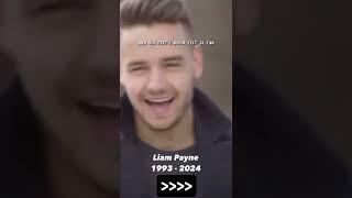 I don’t wanna say Goodbye Cuz this one means forever #liampaynetribute #liampayne #onedirection