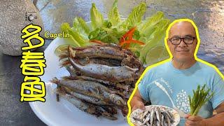 林岡老師分享一個小妙招 多春魚 酥脆不腥 [Eng sub] How to cook crispy Capelin? Easy and Tasty  #keto 簡單美味 #生酮飲食