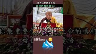 怎樣消業障最快？~ 淨界法師講菩薩戒 #佛法 #修行 #人生