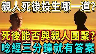 親人死後投生哪一道？人死後還能和親人團圓？高僧偷偷洩露天機：這部經念3分鐘，菩薩會告訴你答案！丨佛談大小事