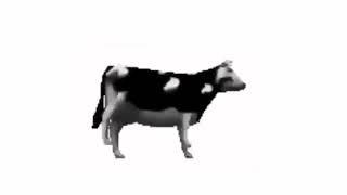 Polish cow Meme 2024|Polska krowa 