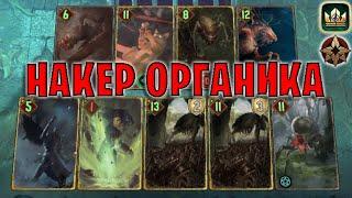 GWENT | ДВОЙНАЯ КИКИМОРА — НАКЕР ИНСЕКТОИДЫ (Стая главоглазов) — гайд | Гвинт Патч 12.7