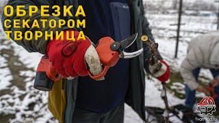 Обрезка винограда электрическим секатором Творница @ZubtsovSergey