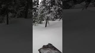 Roadside Timbersled Climb