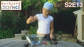 Backyard Science | S2E13 |  Create a balloon powered racing car