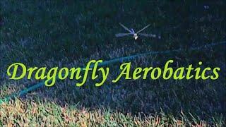 Dragonfly Aerobatics