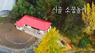 [멀리브이로그] 시골집 정원에 26종 야생화 꽃씨를 뿌리며 / 농가주택 리모델링 5도2촌 시골살이 / village life
