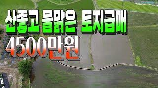 1185 경북 경주시 산내면 내일리,산좋고 물맑은  토지급매,4500만원