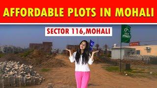 For Sale | Plots in Mohali | Dev Homes | Tricity Property Guru