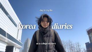 🫧 studying abroad in Korea diaries | IKEA run, Granola Obsession, Namsan Foodie Finds | VLOG