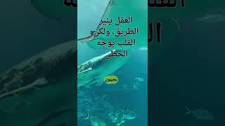 المعرفه والجهل#