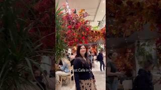 Ariston flowers & cafe-Best Cafe In NYC #viral #FallInNYC #NYCCafe #shorts #short #chicwish