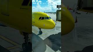 Spirit Airlines Orlando Florida Airbus 321