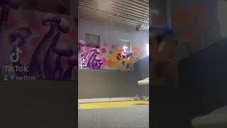 TRIP BACK FAIL BY EVAN - #SHORTS #37 | AwesomeFlipsMedia