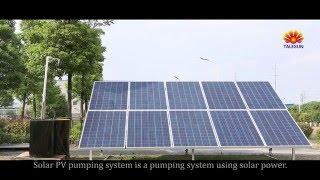 Talesun Solar PV Pumping System