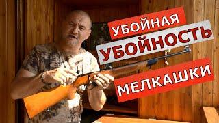 Убойная УБОЙНОСТЬ "мелкашки"! Охота с 22 LR от мышки до мишки! Кто охотится с "мелканом" ???