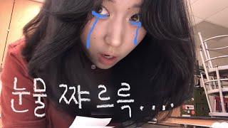 미국 공립고등학교 교환학생 첫 등교 브이로그
