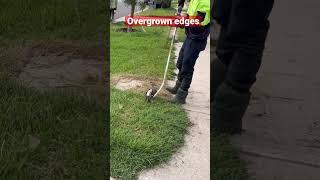 Another overgrown edges#cleaning #overgrown #mowing #edges