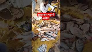सुल्तानपुर मछली मार्केट #sultanpur #motivation #love #ytshorts #shortvideo #shortsvideo #ytshort #yt