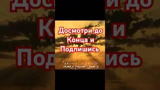 Красивое Чтение Кур'ана.