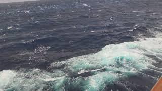 Ocean Views from Cruiseship today #travelvlog #cruiseship #cruisevlogger #cruiseaddict #cruise