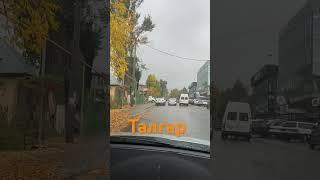 Осень. Талгар 26.9.24 #талгар #осень #джаз