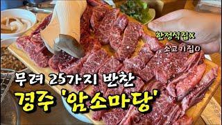 경주맛집 | 무려 25가지 반찬이 나오는 ’암소마당‘ 한정식집 아닌 소고기 한우 맛집! 1300평규모 재방문 아닌 반복적인 방문이 필요한 곳 #맛집추천 #경주여행 애견동반가능식당