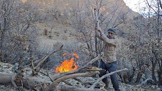 Iran nomadic life: Jahangir's journey to the heart of the mountain to bring firewood and graze sheep