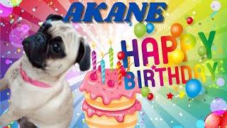 FELIZ CUMPLEAÑOS PERRUNO "AKANE" | MAÑANITAS para PERROS