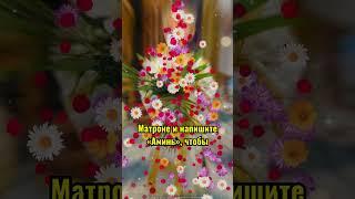 У кого есть дети или внуки, пожалуйста, прикоснитесь к Святой Матроне и напишите «Аминь»