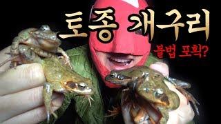 [아재 특집] 토종 개구리를 먹어보자!! (ft.북방산 개구리) Catch n Cook Frog Recipe